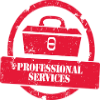 Professional Services